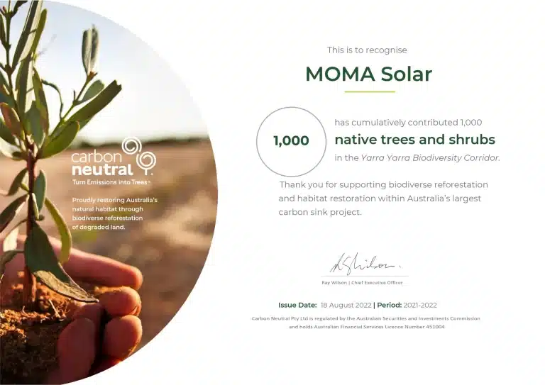 MOMA Solar Plants 1,000 trees with Carbon Neutral